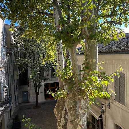 La Charmante Du Palais 2 Chambres أفينيون المظهر الخارجي الصورة